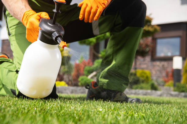 Best Flea Control Services  in Wharton, TX