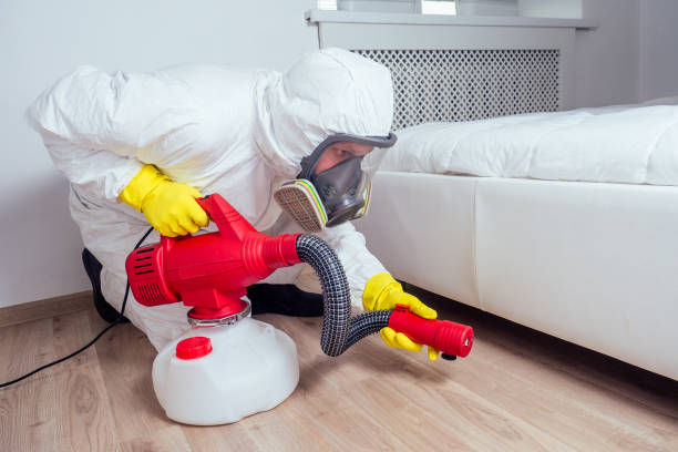 Trusted Wharton, TX Pest Control Experts