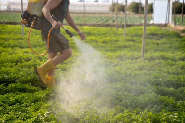 Best Affordable Pest Control Services  in Wharton, TX