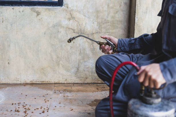 Best Exterminator Services  in Wharton, TX